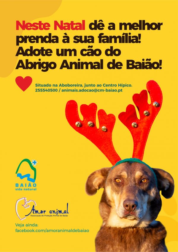 Baião apela a adoções solidárias do Abrigo Animal