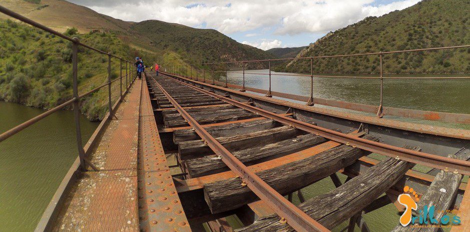 Reabilitação da Linha do Douro até Barca D’Alva é “rentável”, considera estudo da CCDRN