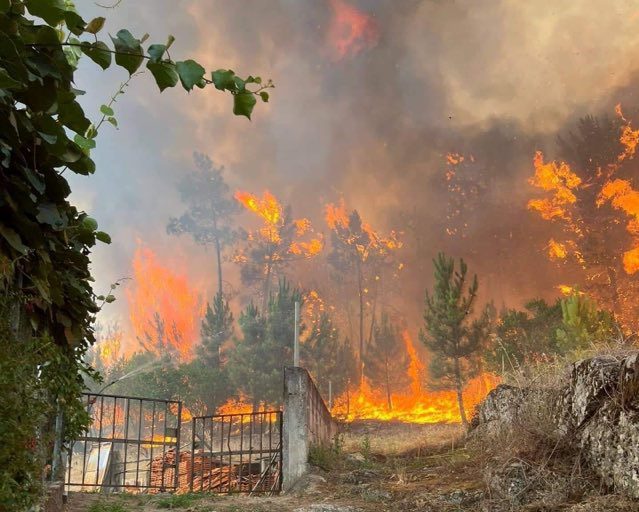 Detido por incêndio florestal em Baião